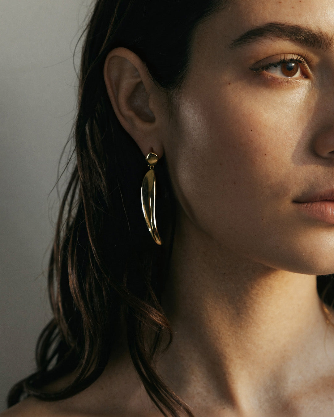 Antarctica Drop Earrings | Gold Vermeil